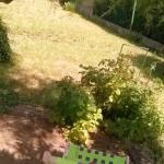 Petite maison avec jardin