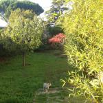 CHAMBRE A LOUER DANS APPARTEMENT + JARDIN/ PROCHE MER