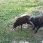 Chambre à louer 20 mn de verdun