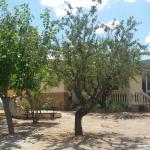 Maison rurale + 3 cabanes en bois,piscine,sauna,jaccuzzi,salle de jeux