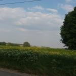 Chambre à louer chez l'habitant