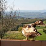 Chambre à louer dans grande maison