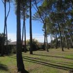 Studio vue sur mer à louer