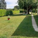 Superbe petite cabane dans un cerisier.
