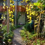 Chambre avec balcon sur jardin
