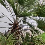 Studio indépendant dans dépendance jardin