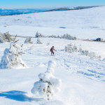 Une bouffée d oxygène au coeur de la Margeride !