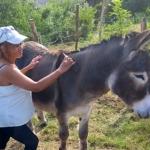 Chez Romu , un oasis de paix en Margeride !