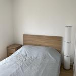 Colocation ORLEANS – 4 chambres disponibles