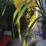 Chambre pour femme uniquement