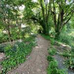 Chambre à louer à  Montjean