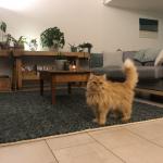 Chambre à louer à Bramois / Sion