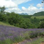 Recherche colocataire H/F