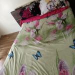 Chambre à louer dans un appartement F4