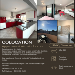 Colocation pour étudiant