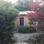 Cabane au milieu des bois