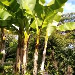 Chambre chez l'habitant rezé