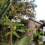 Chambre chez l'habitant rezé