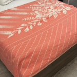 Chambre à louer Clermont Ferrand