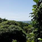 Cozy T2 au calme (verdure)