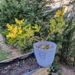 Chambre à louer pour Centrale Nucléaire de BELLEVILLE