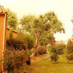 Festival Hellfest Espace dans le jardin !