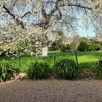 Chambre àç louer Pleudihen