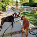 Appartement meublé à louer de façon temporaire