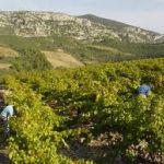 Chambre à louer à Saint-Estève 66240