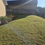 Chambre à louer chez l habitant ( colocation)