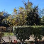 A 5mns A6 /A89,Chambre entre Dombes et Beaujolais  dans appartement