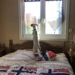 Chambre à louer steenvoorde