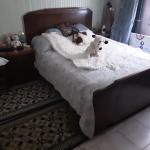 2 chambre une de 16m2 et une de 12m2