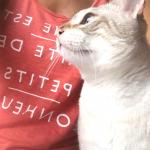 Appartement Bompard 7e