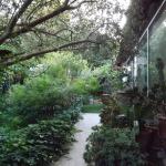 Chambre A   louer à Lattes