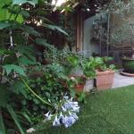 Chambre Nature chez l'habitant à Lattes