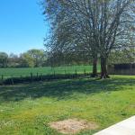 Espace jardin pour toile de tente