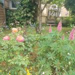 Chambre chez l'habitant avec jardin