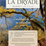 Colocation entre seniors