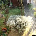 Chambre b &b festival