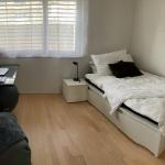 Chambre à louer dans un appartement tranquille