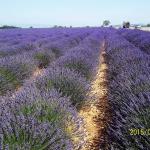 Studio CHEZ L HABITANT EN HTE PROVENCE