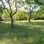 Emplacements pour tentes