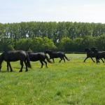 Chambre meublée à louer Maubeuge