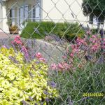 Petite chambre coquette