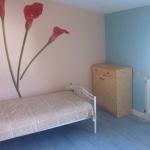 Chambre à louer près de Nancy avec jardin