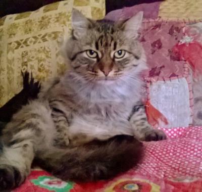 Petite maison avec jardin