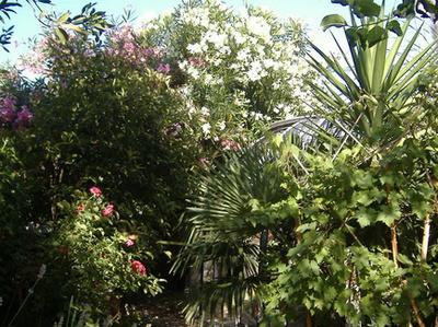 CHAMBRE POUR ETUDIANTE