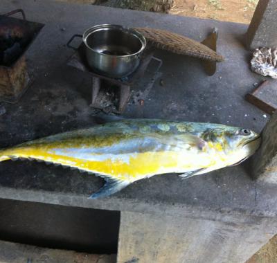 Bungalow bord de plage face Nosy Bé