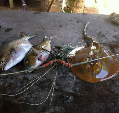 Bungalow bord de plage face Nosy Bé